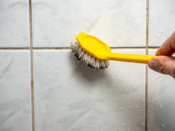 Best Mold Removal Near Me  in Clinton, IA