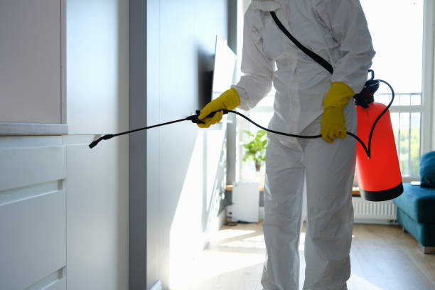Best Mold Testing  in Clinton, IA