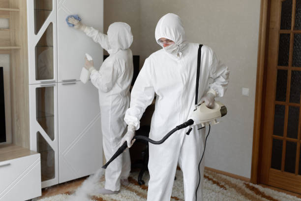 Best Emergency Mold Removal  in Clinton, IA