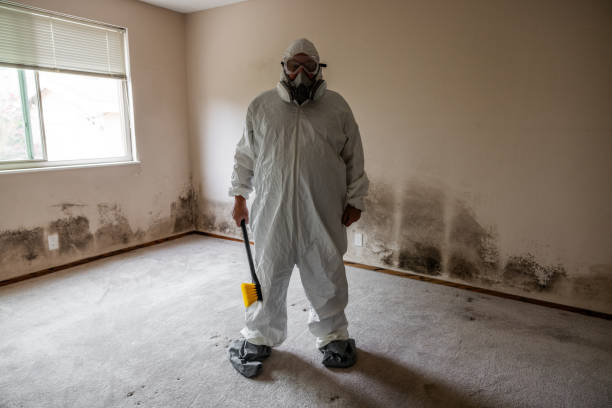 Office Mold Removal Services in Clinton, IA